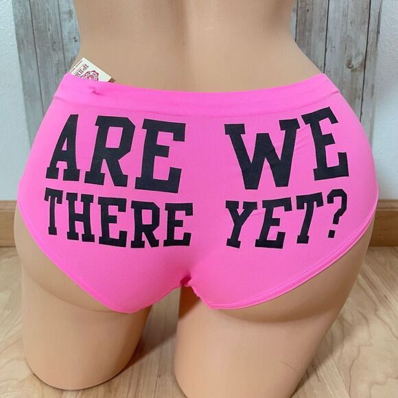 NWT VS Vintage Y2K Pink Extra Low Rise Graphic Are we there yet hipster panties - Picture 1 of 12